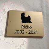 Tabuľka Pozor pes Yorkšírsky teriér