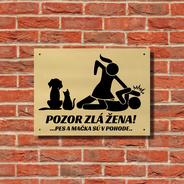 Zlatá humorná tabuľka Pozor zlá žena – pes a mačka sú v pohode, na tehlovej stene