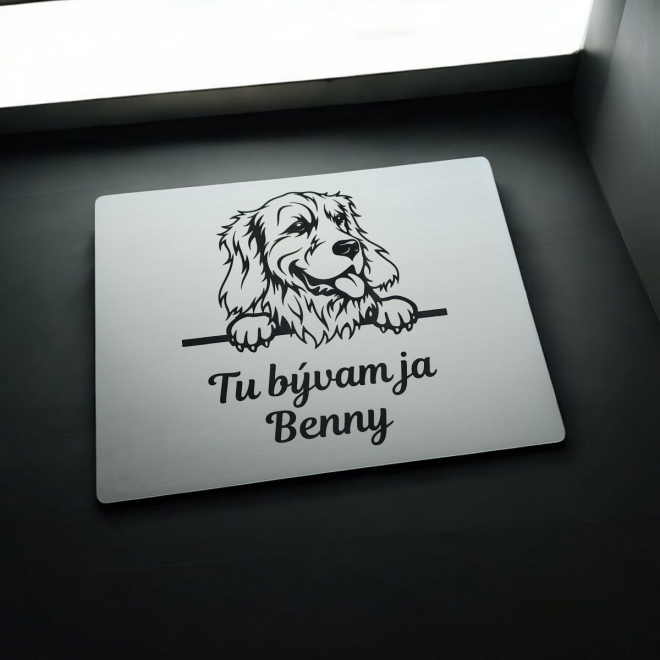 Tabuľka Pozor pes Zlatý retríver cute