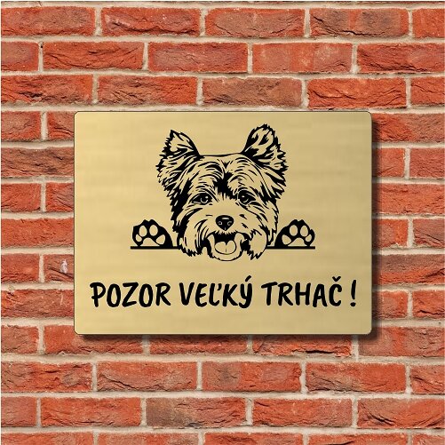 Zlatá tabuľka s jorkšírom a vtipným nápisom Pozor veľký trhač na tehlovej stene