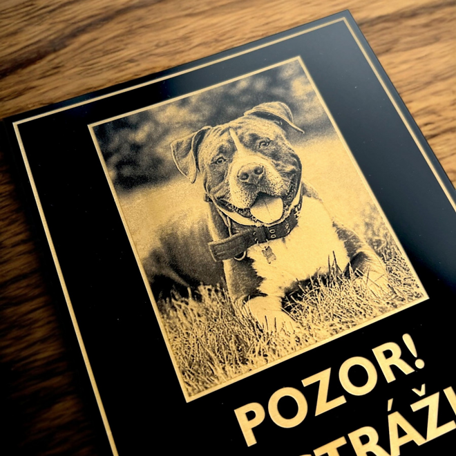 Detail gravírovanej fotografie psa na čierno-zlatej tabuľke