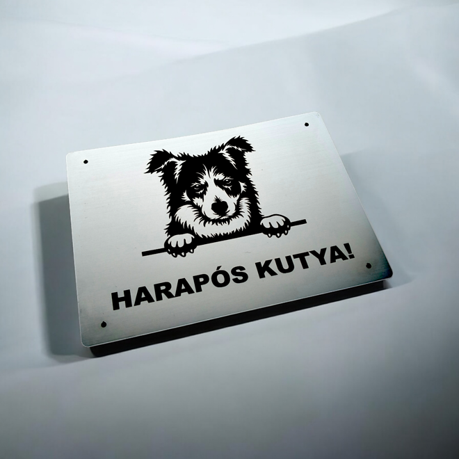 Strieborná tabuľka s border kóliou a maďarským nápisom Harapós kutya