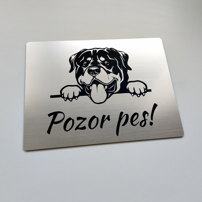 Strieborná tabuľka Pozor pes – vykúkajúci rotvajler