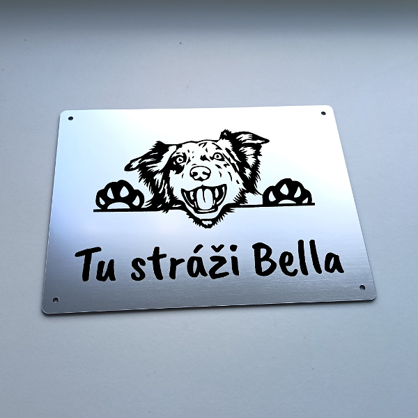 Strieborná tabuľka s usmiatou border kóliou a nápisom Tu stráži s menom psa