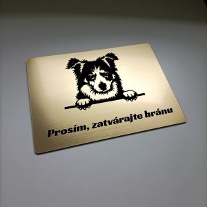 Tabuľka Pozor pes Border kólia