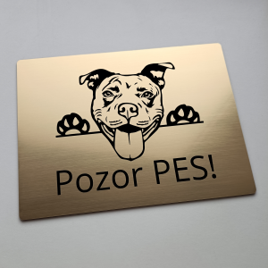 Tabuľka Pozor pes Pitbull cute